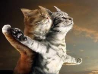 Предпочтения...