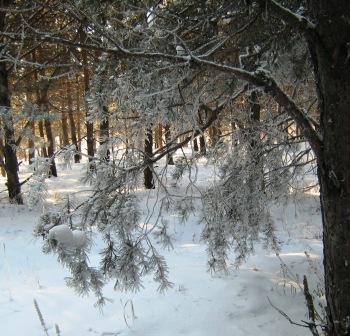 За светлым обликом гнездился сумрак