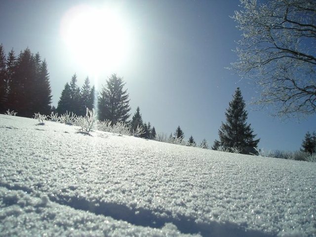 Приближая Новый Год