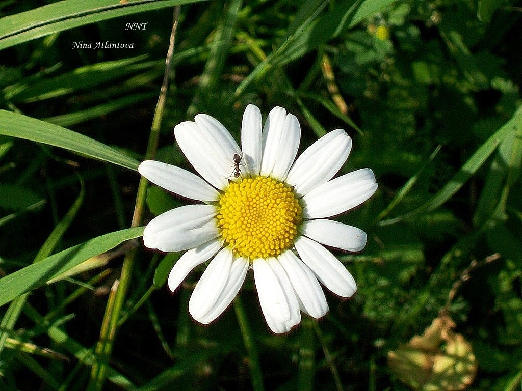 Для них пора