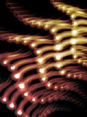 не навсегда