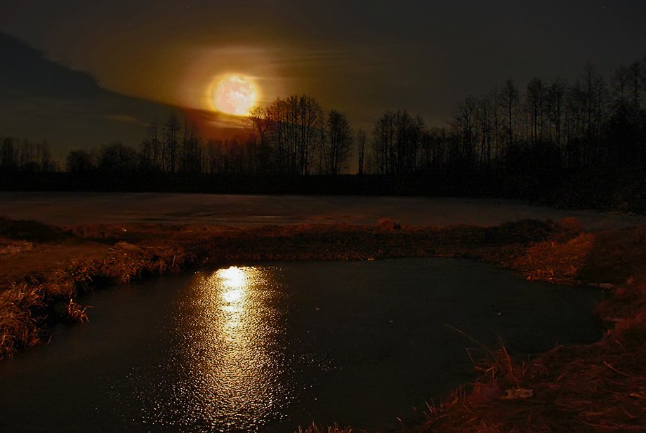 Дорога белела освещенная месяцем. Река ночью. Лунный пейзаж. Осенняя ночь. Ночной пейзаж.