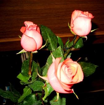 Дышали Розы светом белым...