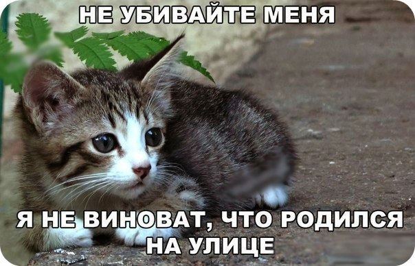 Пожалейте меня!