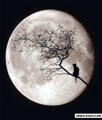 О таком пустяке, как...