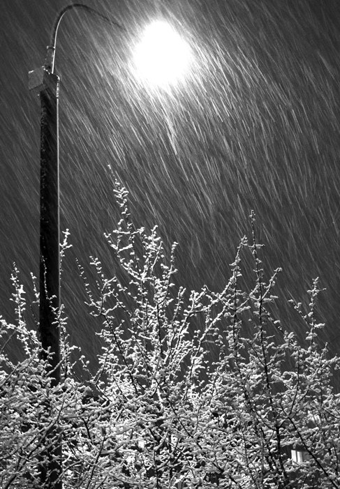 Ноябрьский вечер