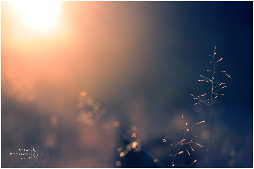 Жизнь по легким