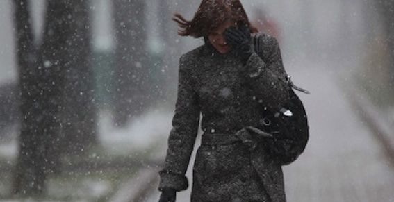 Ноябрьский снегопад