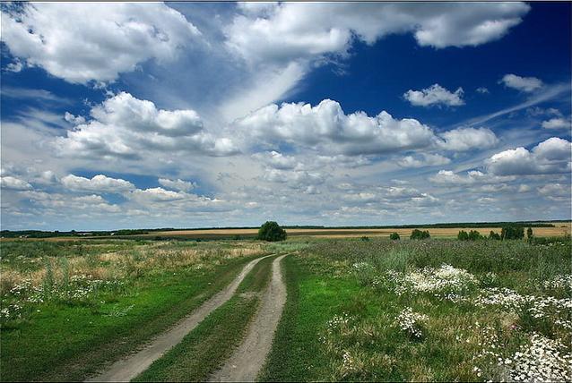 Про хороших гаишников