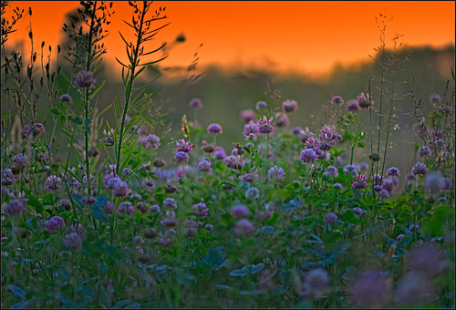 Я увидела - жизнь нахмурилась,