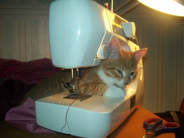 Не завидуйте друзья...