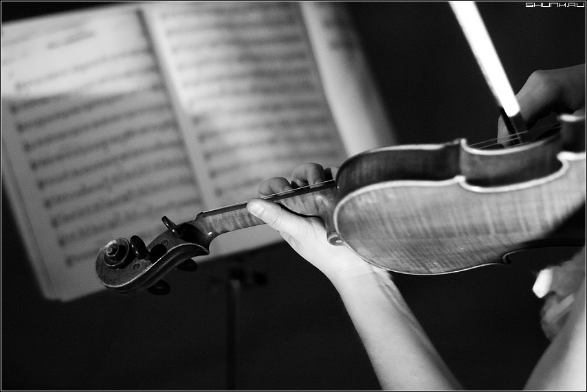 У каждой музыки свой нрав