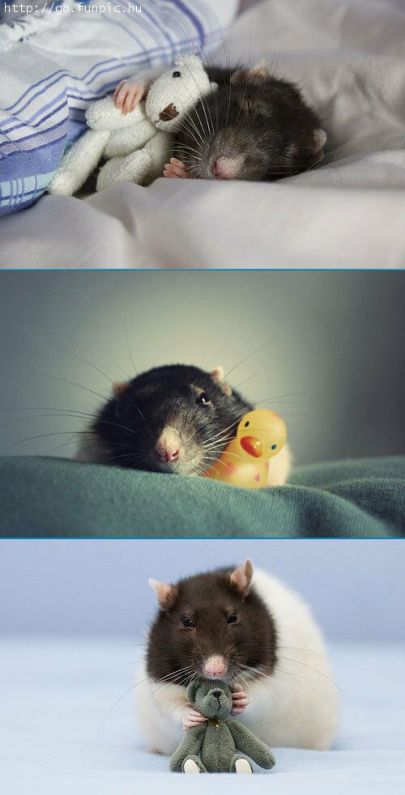 Минутные зарисовки Русские игрушки