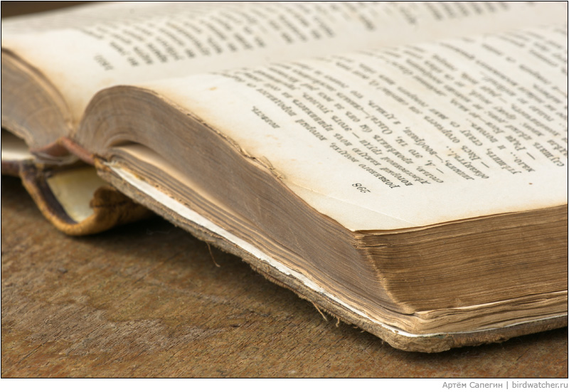 Теряем мы книгу...