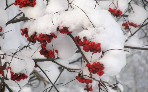 межсезонье...