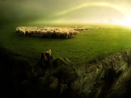 Стадо поклонников