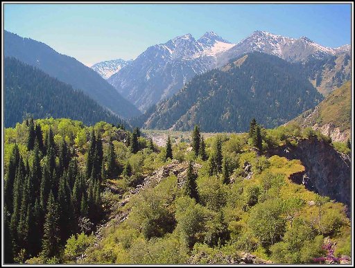 Никогда я не был...