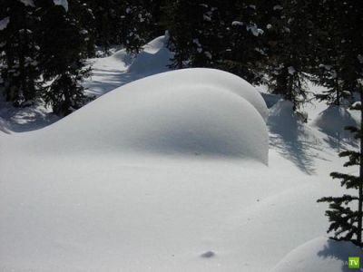 У меня жена пропала!