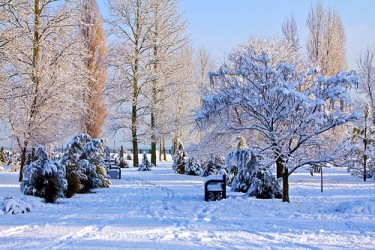 Зимние картины