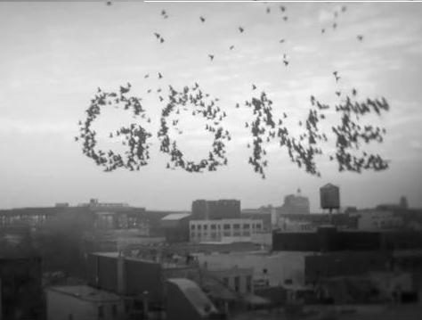 я так i не змiг