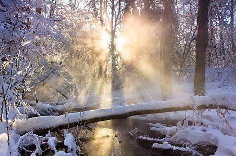 Распахнутые двери...