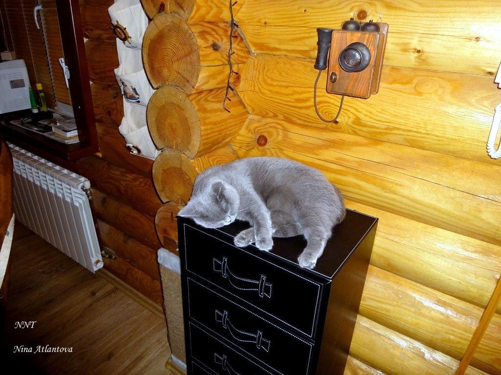 Спи, моя хорошая