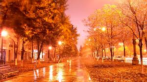Рыжая осень