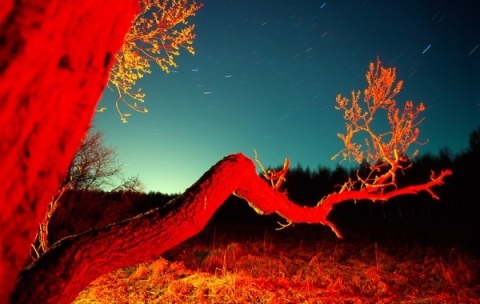 Час наслаждения...