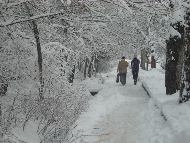 Замело белым снегом...