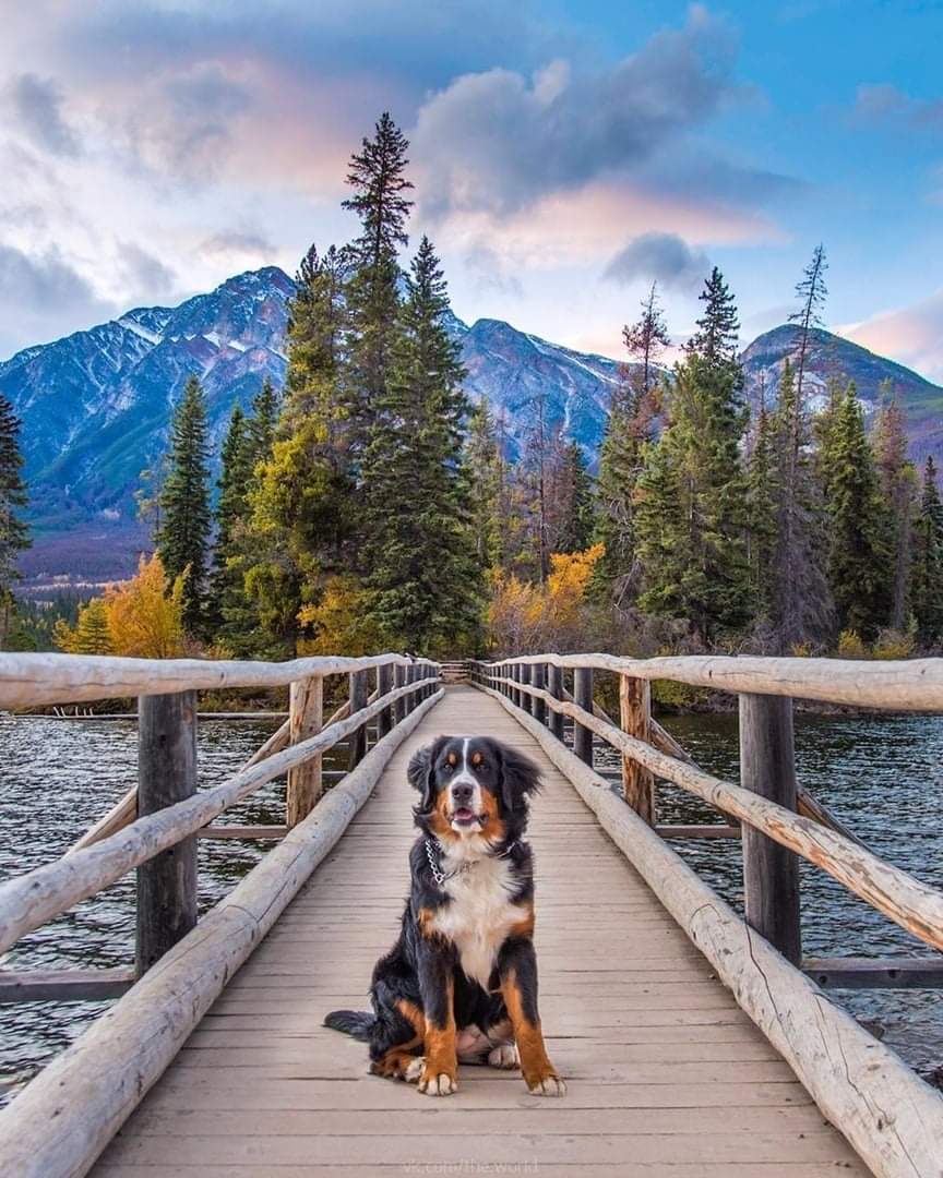 Никогда не говори никогда