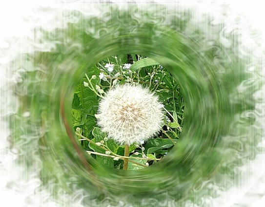 Зимой приятно говорить про лето...