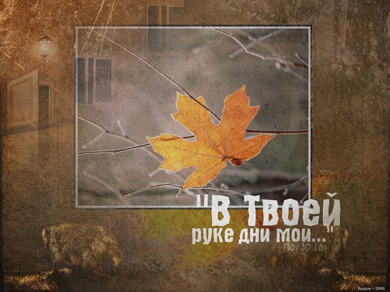 Сухой лепесток 26. 05. 2012г