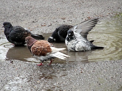 Праздничный день