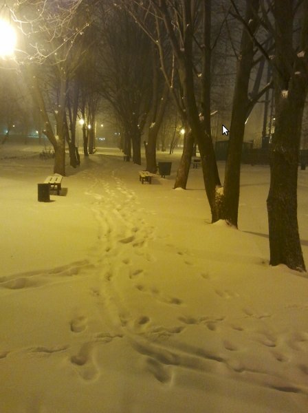 Зима