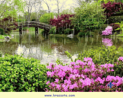 Сияют наших чувств волшебные караты