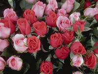 С днем рождения Ксения Любавина!!!