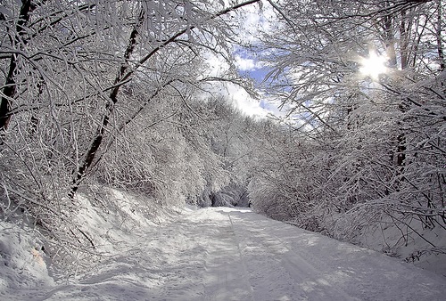 Ой ты мати моя, зима белая