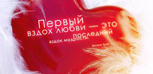 Любовь с первого взгляда