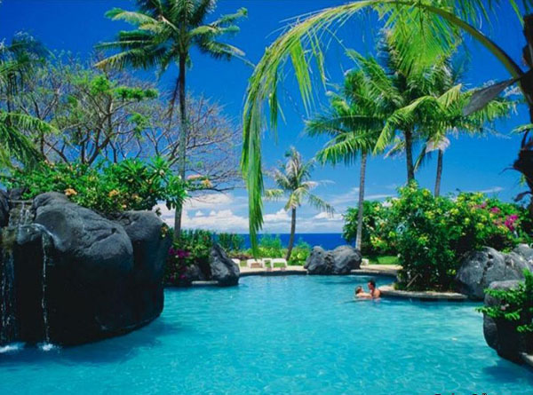 Тропики - место рая