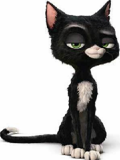 Наш любимый чёрный кот