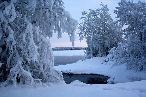 Любовь и времена года! стихи-5