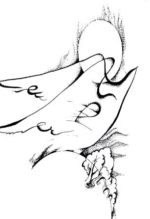 С Новым Годом, Земля!