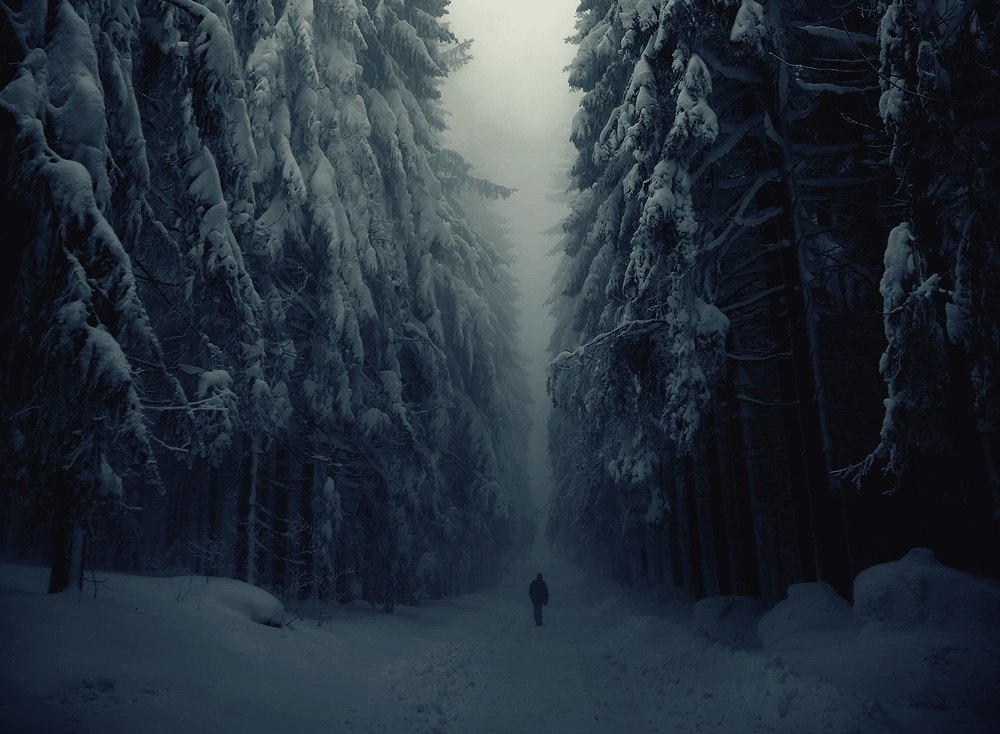 Зима лес ночь костехаски