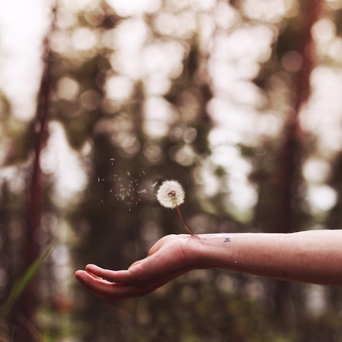 Тоска по лету