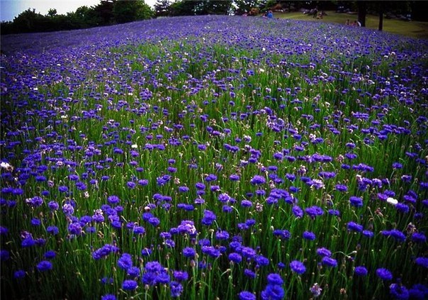 Ремонт судьбы