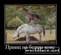 Принц на белом коне