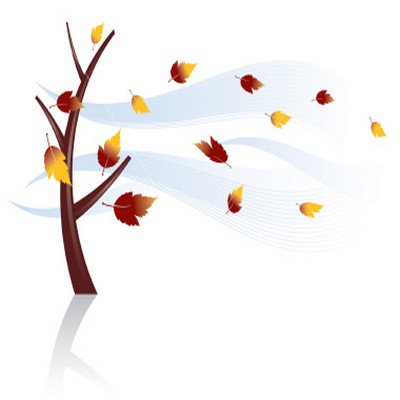 Наклоненное дерево. Ветер дует листья. Осень картинки для дошкольников. Стихи про листья для детей. Вихрь из осенних листьев.