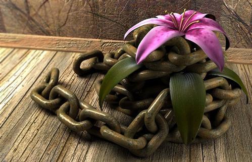 Шрамы прошлого...