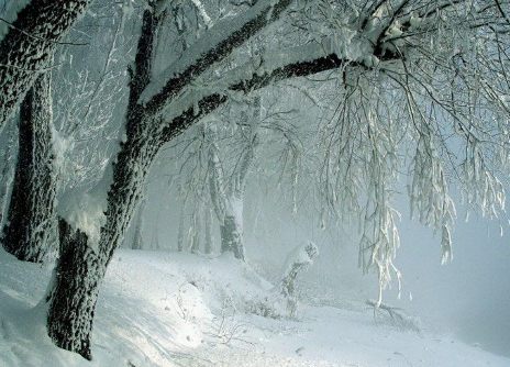 Слёзы любви...