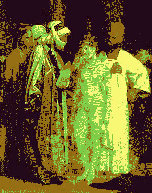 Прекрасная невольница